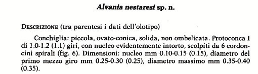 Rissoidae nel Mediterraneo: Genere Alvania